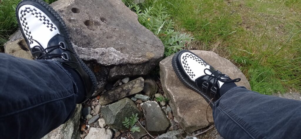 creeper on stone