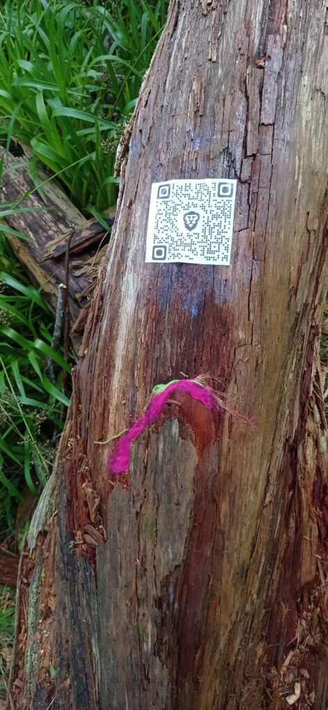 qr code and pink green wool