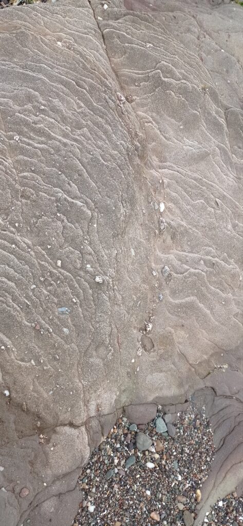 shore stone